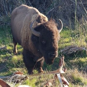 Meet your Posher, Jayme